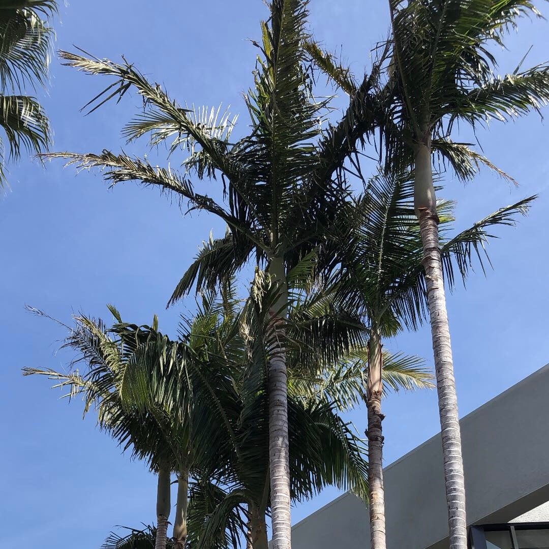 Super Epic Craftcation Recap 2019!