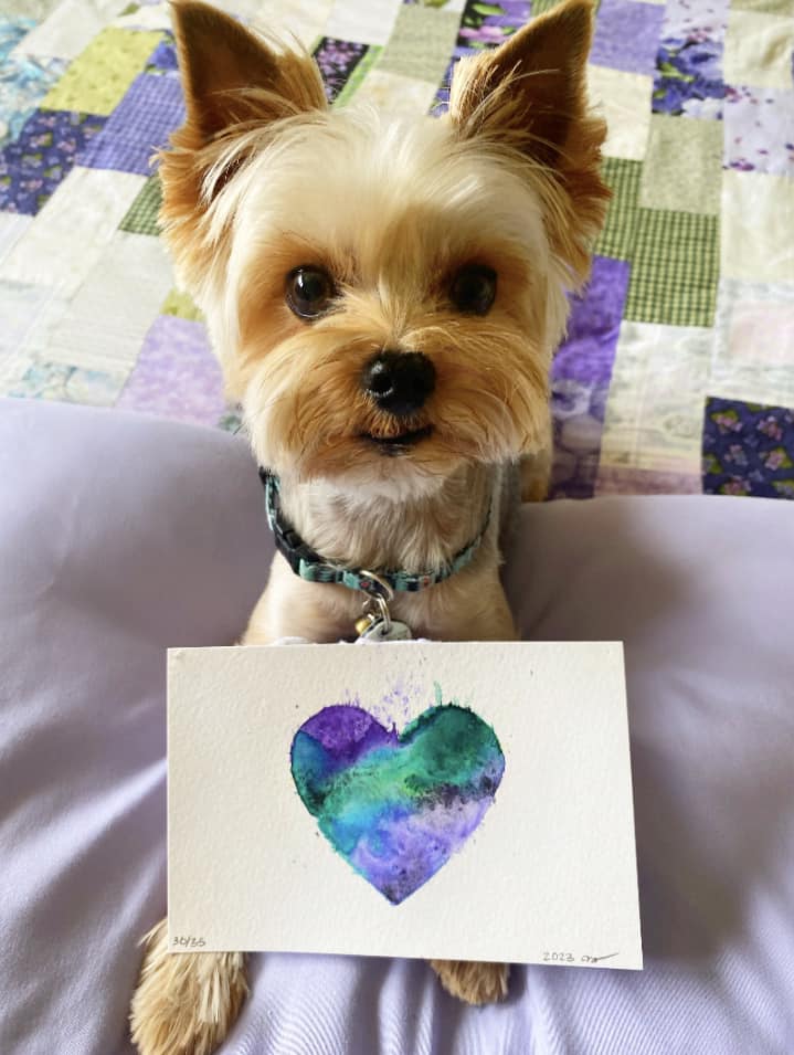 Backer Showcase: A Visual Journey through the Heart of Our 2023 Kickstarter Project