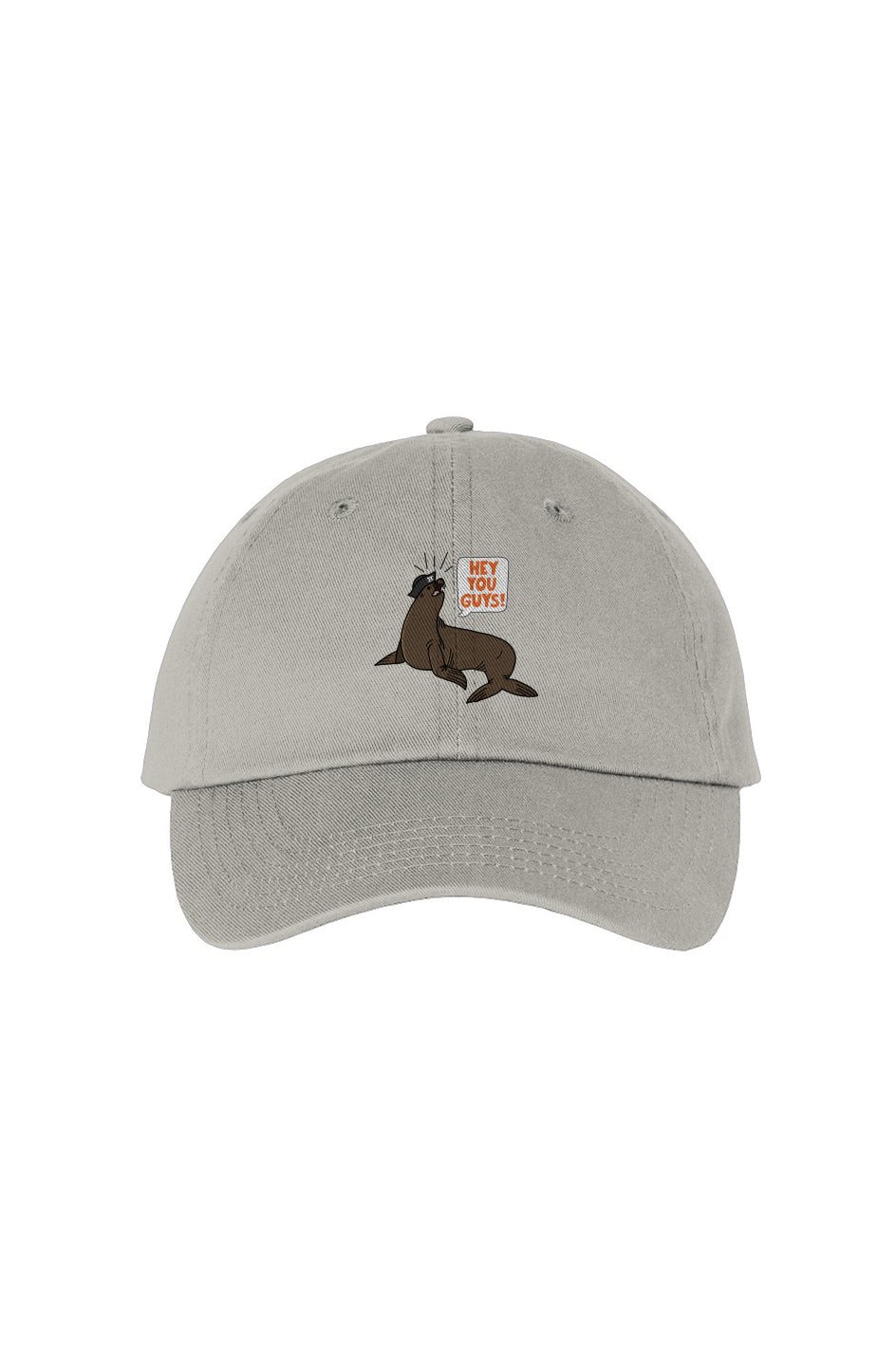 Hey You Guys Dad Hat