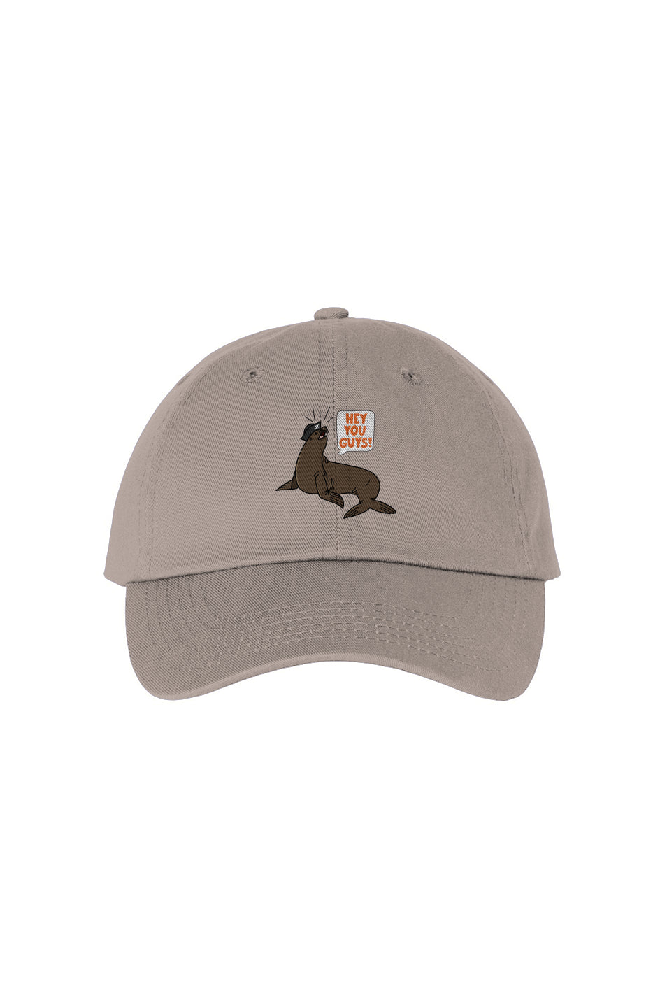 Hey You Guys Dad Hat