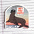 Hey You Guys Sea Lion Sticker